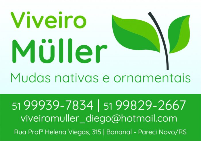 Meio Ambiente