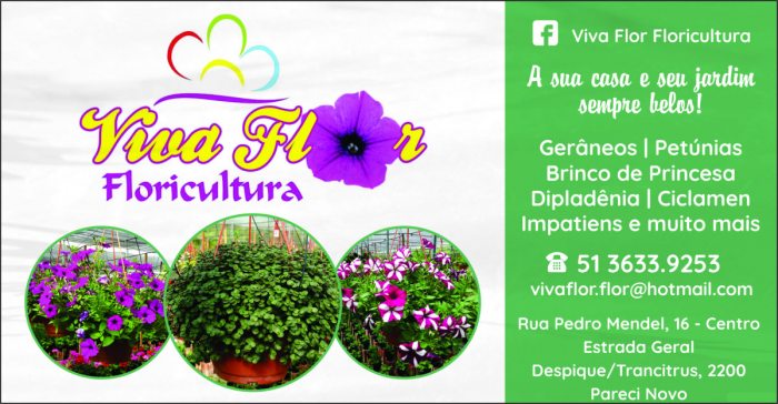 Meio Ambiente