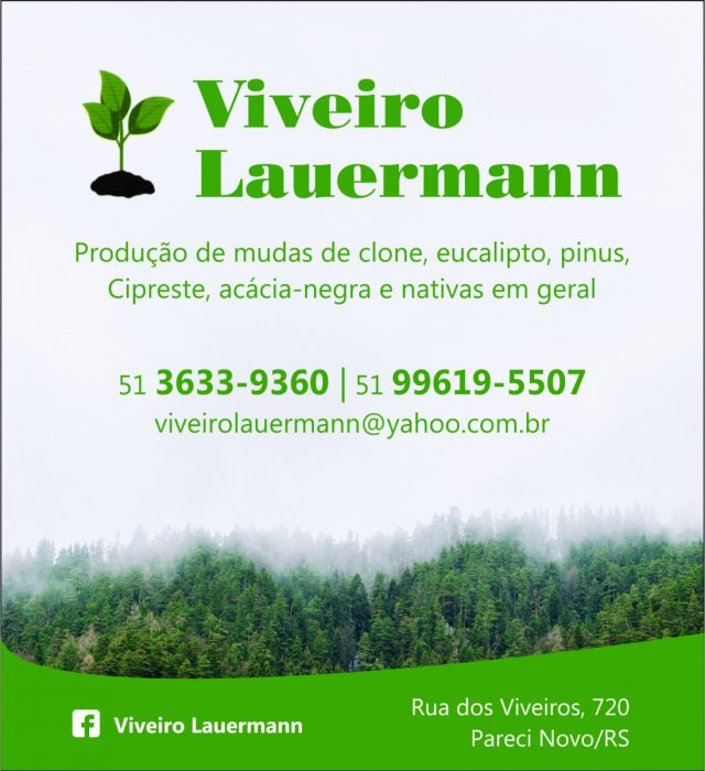 Meio Ambiente