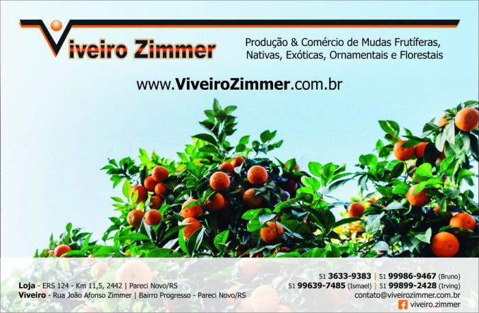 Meio Ambiente